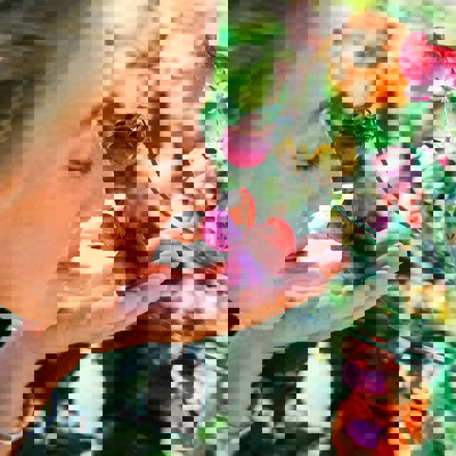 aaron-blanco-tejedor-Pyk4cRkcnf0-unsplash.jpg aaron-blanco-tejedor-Pyk4cRkcnf0-unsplash.jpg