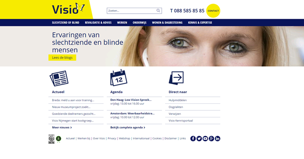 Screenshot website Visio