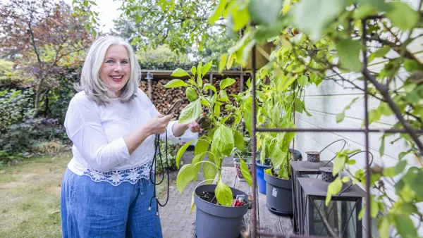 Visio Tineke Moestuin Vergroting Buiten Natuur Smartphone Telefoon Visio Tineke Moestuin Vergroting Buiten Natuur Smartphone Telefoon