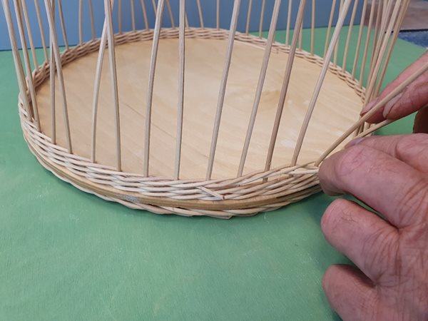 Pitriet vlechten met een visuele beperking.jpg