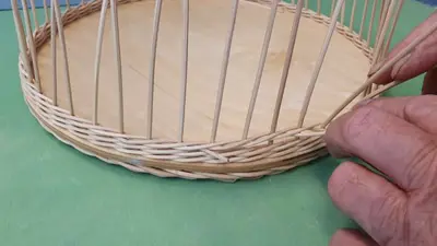 Pitriet vlechten met een visuele beperking.jpg Pitriet vlechten met een visuele beperking.jpg