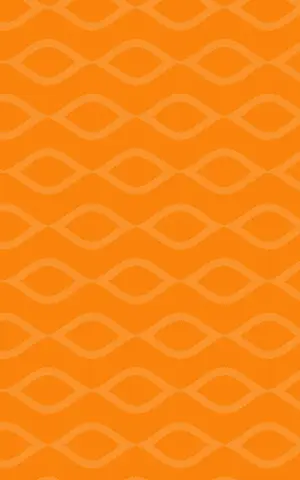 visio_patroon_1_oranje.png visio_patroon_1_oranje.png