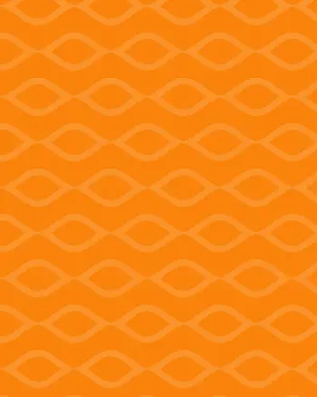 visio_patroon_1_oranje.png visio_patroon_1_oranje.png