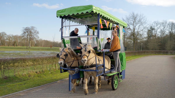 Huifbedrijden waarbij twee paarden de kar trekken en de huifkar vrolijk versierd is met gekleurde vlaggetjes Huifbedrijden waarbij twee paarden de kar trekken en de huifkar vrolijk versierd is met gekleurde vlaggetjes