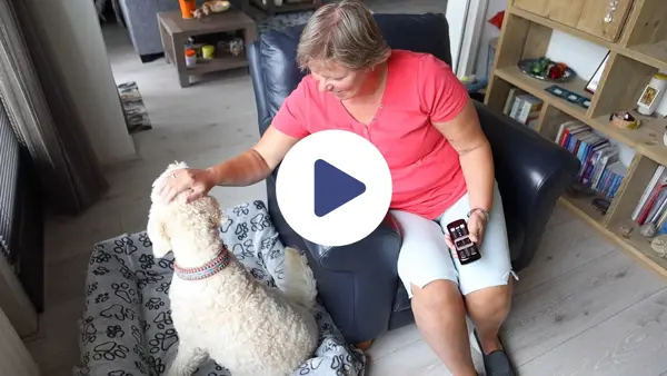 Visio-video-geleidehond-hulphond.jpg Visio-video-geleidehond-hulphond.jpg