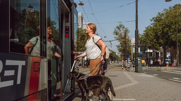 Vrouw stapt met taststok en blindengeleidenhond in de tram Vrouw stapt met taststok en blindengeleidenhond in de tram
