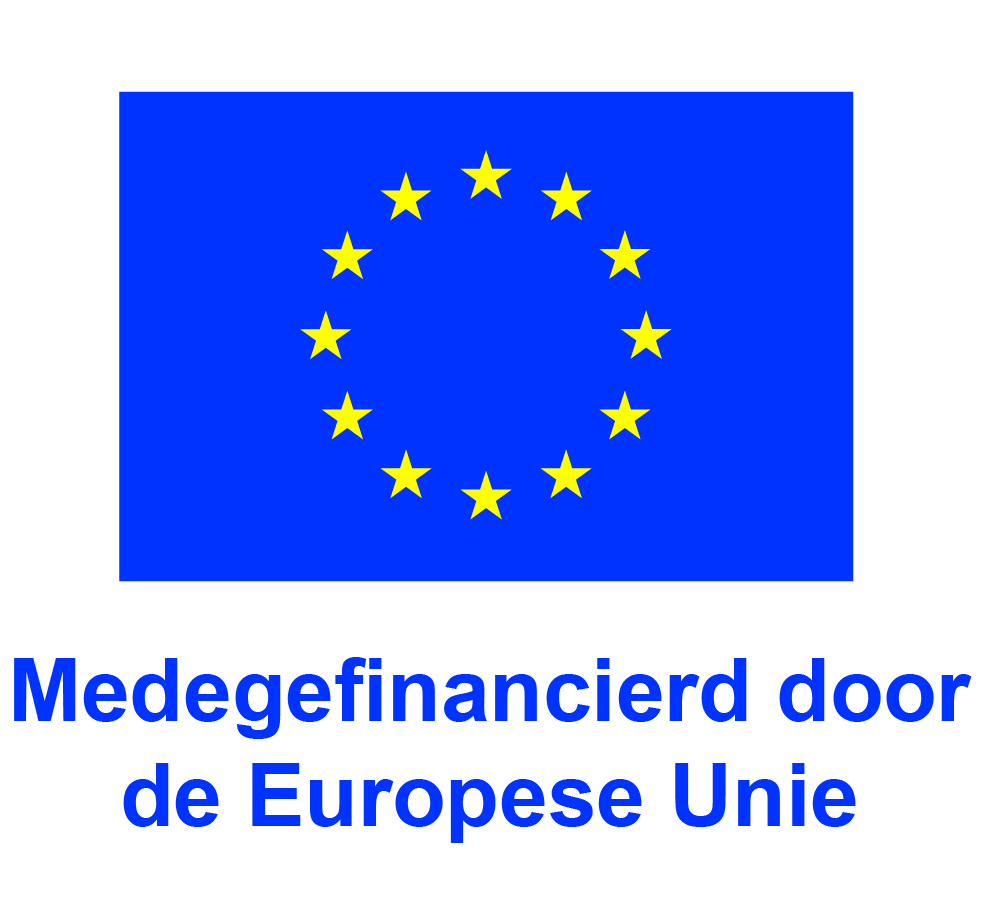 NL V Medegefinancierd Door De Europese Unie POS