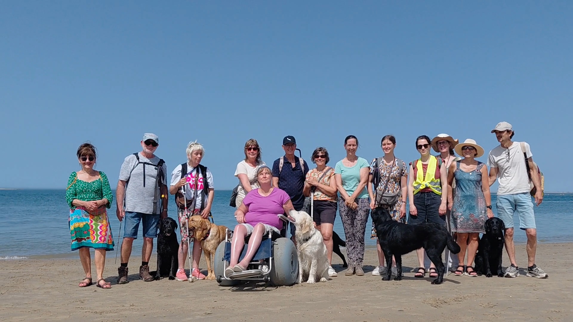 guide dogs at sea mei 2026.jpg