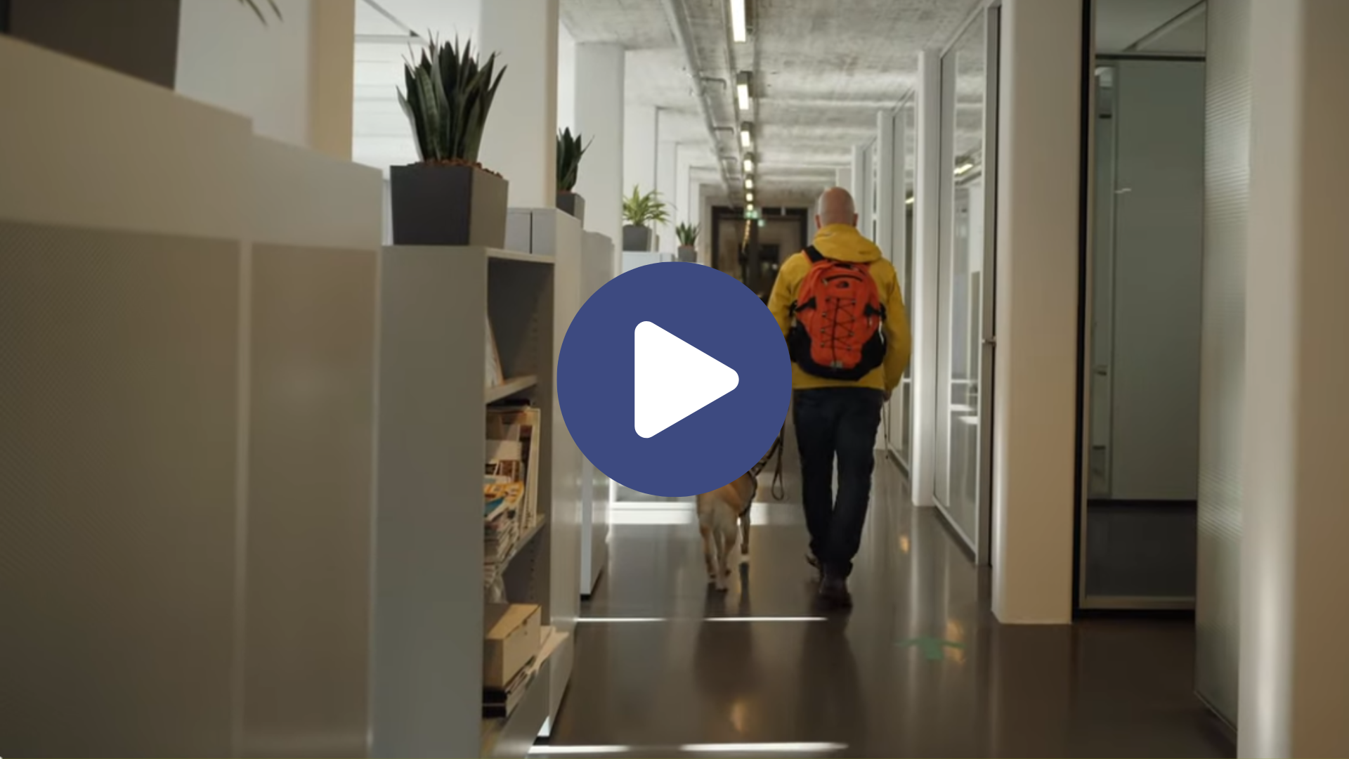 Ontwerp zonder titel.png