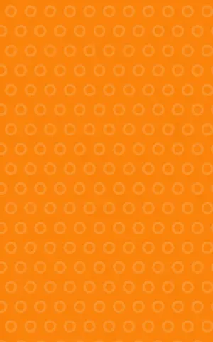 visio_patroon_2_oranje.png visio_patroon_2_oranje.png