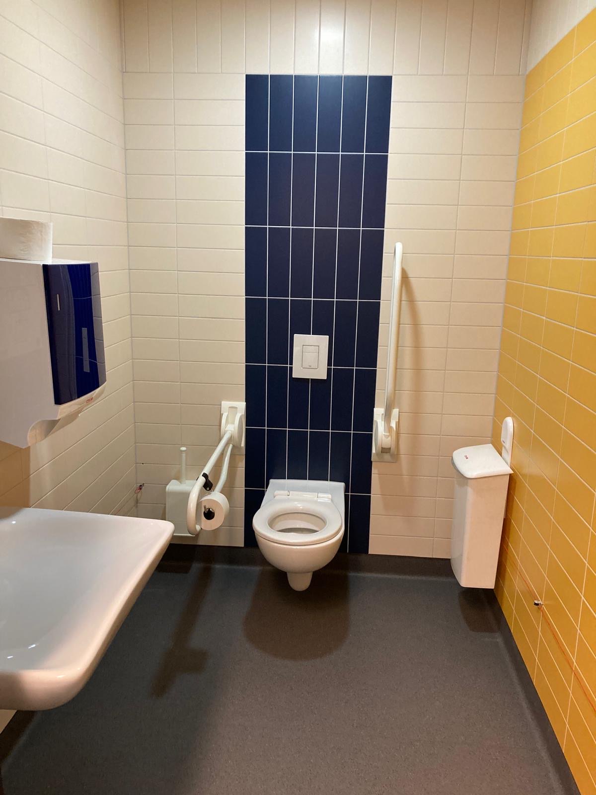 Wit toilet tegen een donkerblauwe strook op de muur voor contrast. 