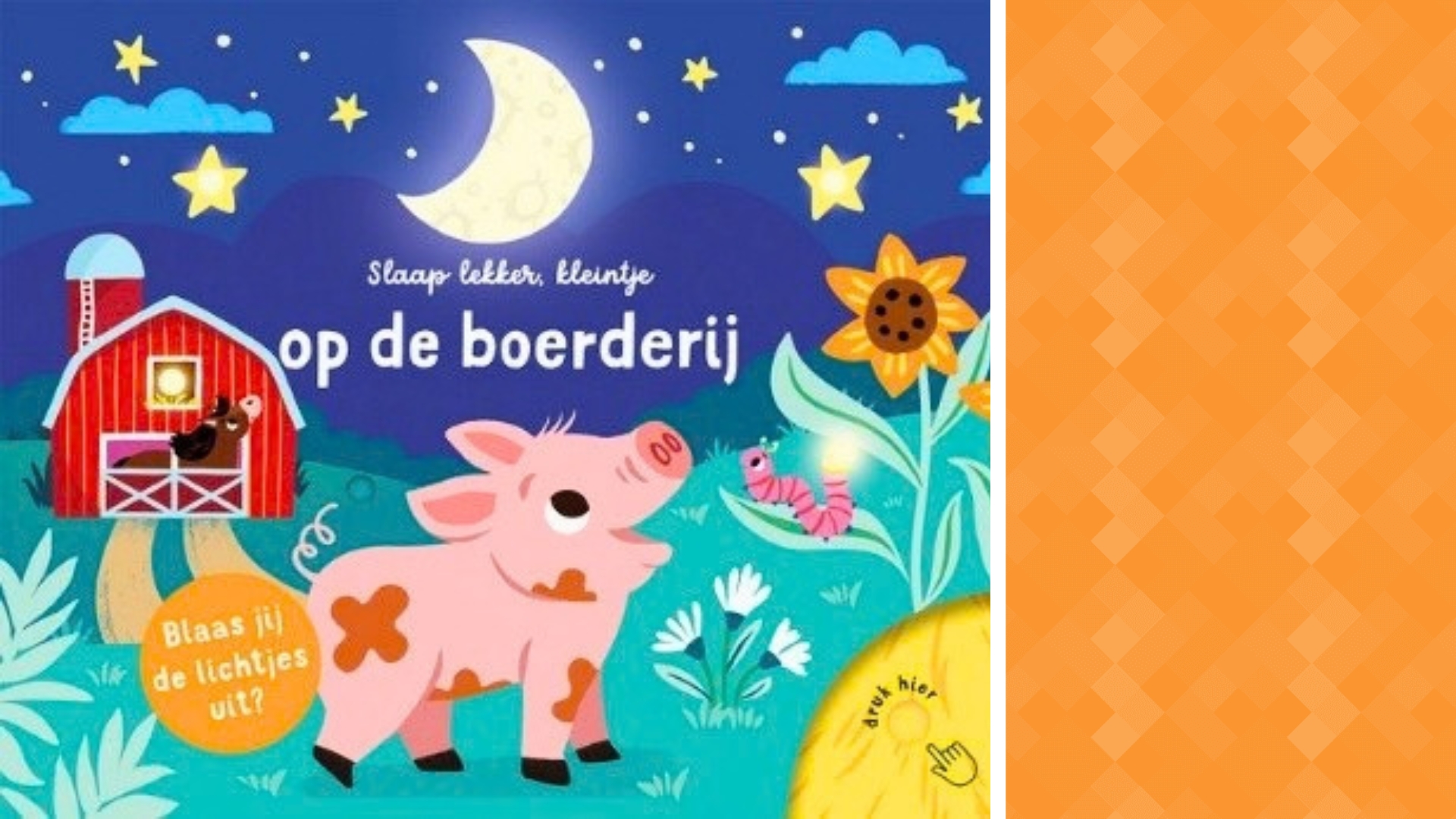 Visio Boeken Tips Kind Slechtziend Blind Donker Nacht 1