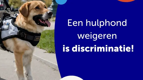 Foto van een hulphond met daarbij de tekst "Een hulphond weigeren is discriminatie" en het logo van de Oogvereniging Foto van een hulphond met daarbij de tekst "Een hulphond weigeren is discriminatie" en het logo van de Oogvereniging