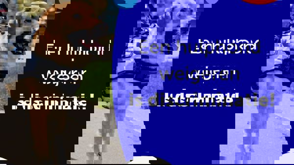 weigeren-hulphond.jpg weigeren-hulphond.jpg