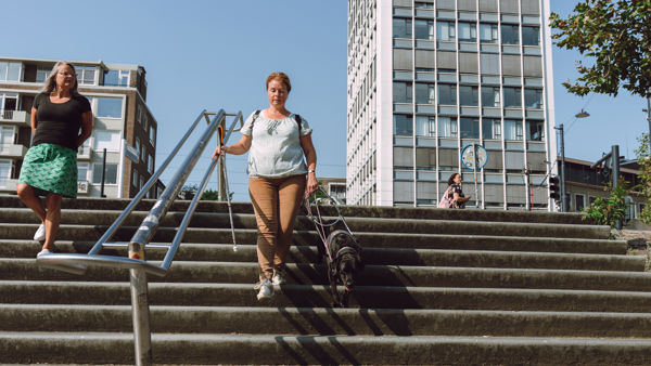 Slechtziende vrouw loopt een trap af met een taststok in haar hand en een blindegeleidenhond die haar helpt. Slechtziende vrouw loopt een trap af met een taststok in haar hand en een blindegeleidenhond die haar helpt.
