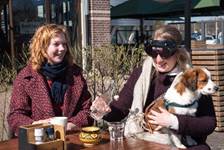 Blind voor 1 dag