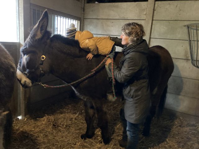 Begeleider helpt kleuter op ezel Begeleider helpt kleuter op ezel