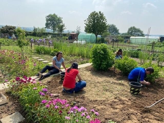 Tuinieren in de moestuin Moestuin in Amby