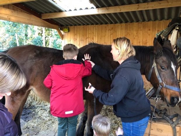 Kinderen voelen het paard