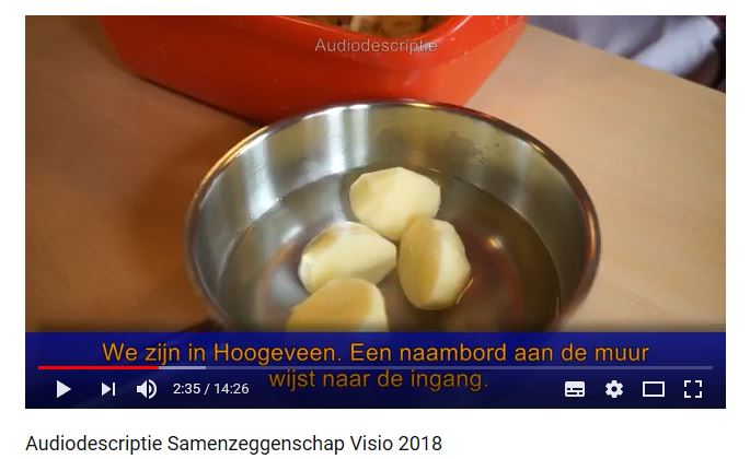 Je gaat naar het YouTube-filmpje over samenzeggenschap Je gaat naar het YouTube-filmpje over samenzeggenschap