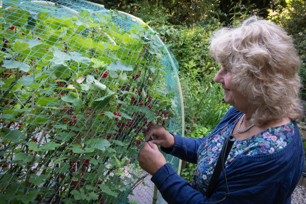 Een blinde vrouw geniet van een moestuin