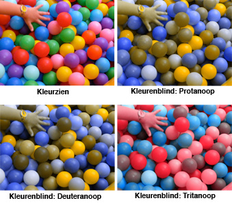 Kleurenblindheid - Koninklijke Visio Koninklijke Visio